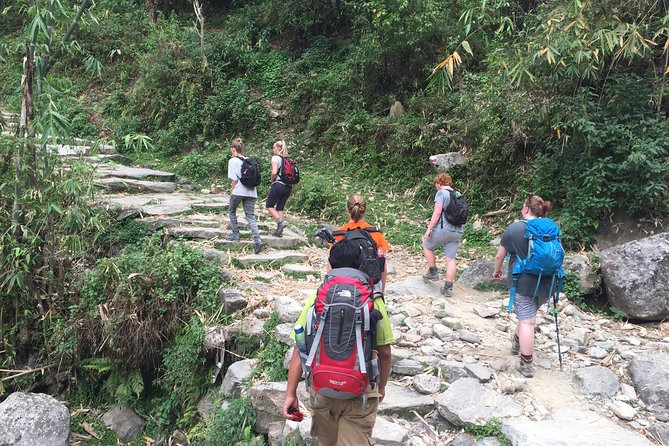 Annapurna Poonhill Trek - The final walk to Phedi and return to Pokhara