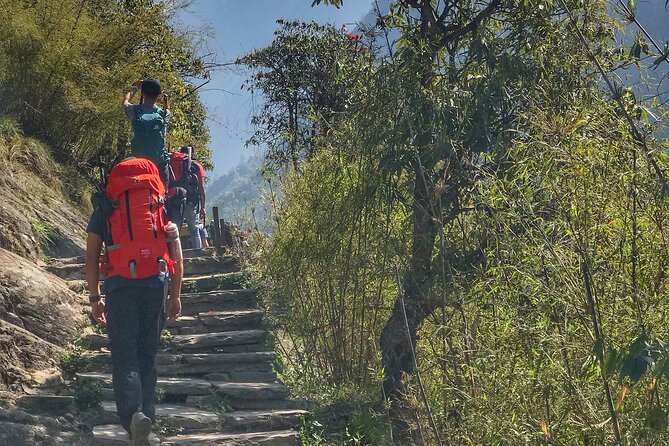 Annapurna Sanctuary Trek ( 11 Days) - Day 6: A high-altitude morning at MBC
