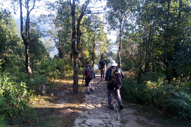 Annapurna Sunrise Trek - What the Annapurna Sunrise Trek is really like