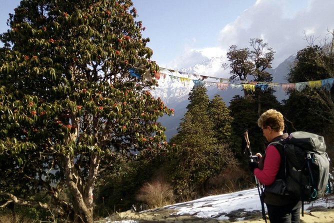 Annapurna Sunrise Trek - Day 5: Poon Hill sunrise and the walk to Tadapani