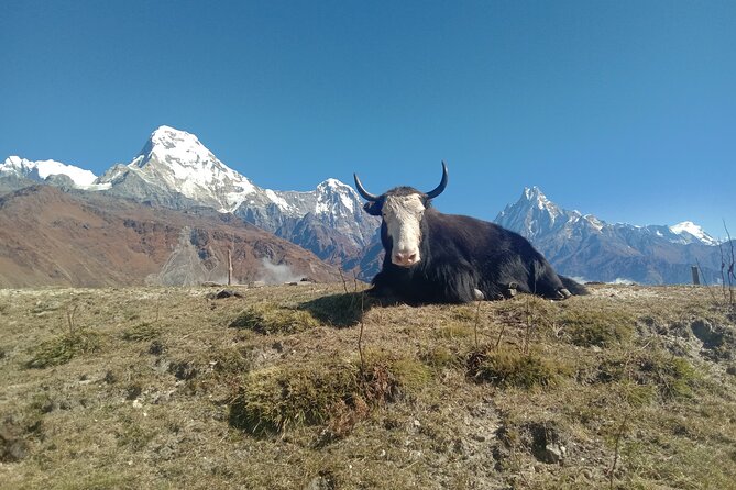 Annapurna View Trek - Pokhara to Kathmandu and the five-day rhythm