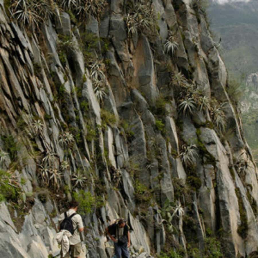 Arequipa: Colca Canyon Trekking 2 days and 1 night + food - Hot springs, volcano country, and the ride back