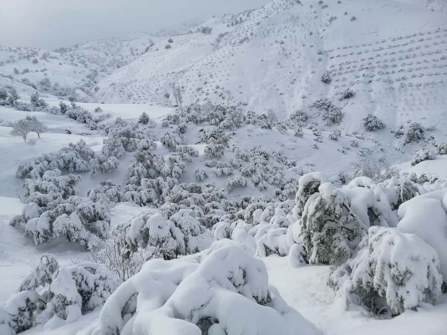 Atlas Mountains Trek Azzaden Valley And Imlil 2 Days - From Marrakech to Imlil at 1,740 meters