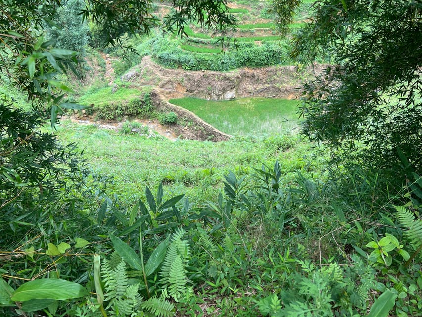AUTHENIC 2D1N Trek & Bungalow Retreat with Dinh Hmong Family - Ta Van and the family homestay