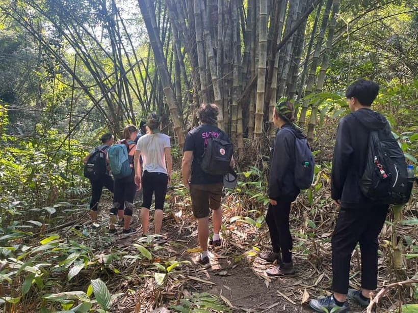 Authentic trek only walk in Chiang Rai jungle - From Chiang Rai to the first jungle trails