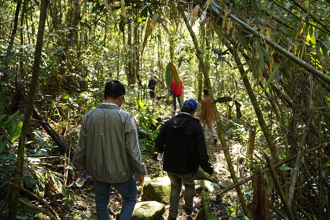 Bach Ma National Park trekking daily tour from Da Nang, Hoi An - A picnic lunch in the forest