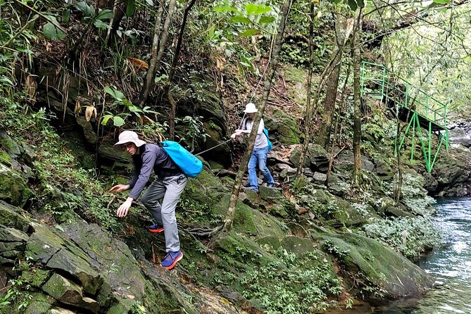Bach Ma National Park trekking daily tour from Da Nang, Hoi An - Transport, timing, and what to pack