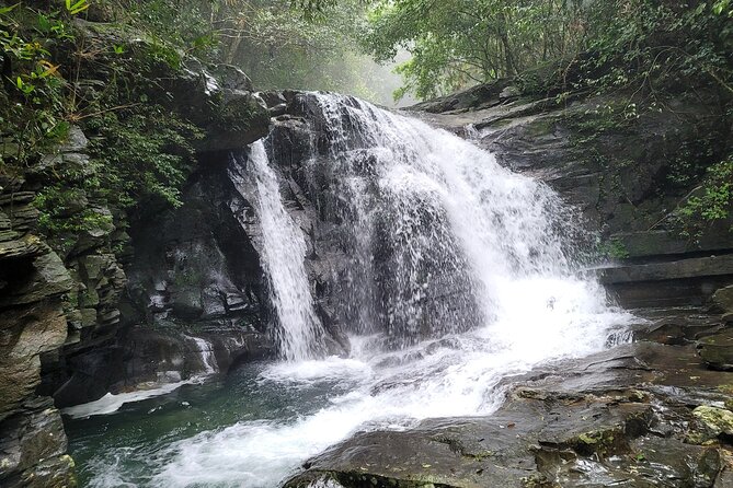 Bach Ma National Park trekking deluxe daily tour from Hue - Picnic lunch before Do Quyen Waterfall