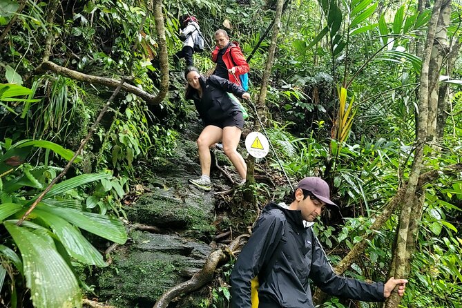 Bach Ma National Park trekking deluxe daily tour from Hue - What the $49 price really covers