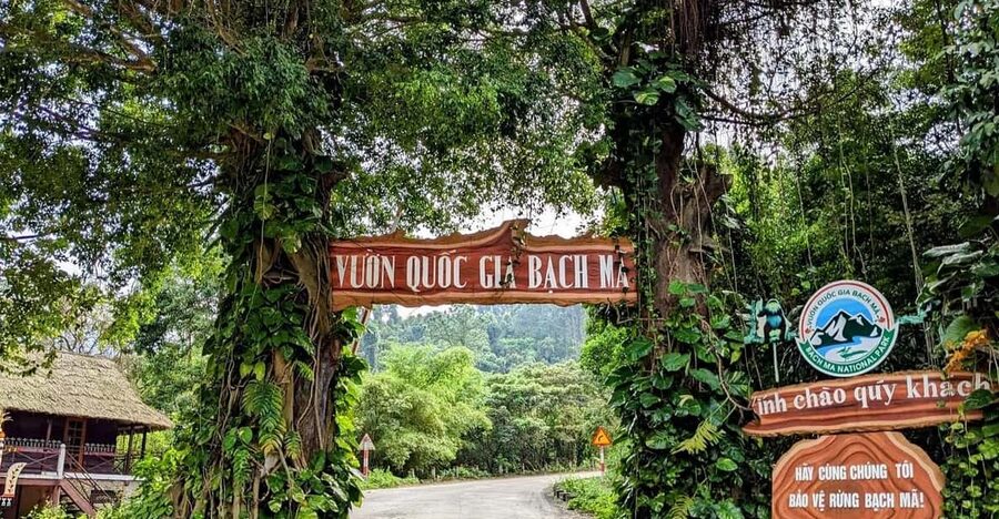 Bach Ma National Park Trekking Tour From Hue/Da Nang/Hoi An - Why Bach Ma Makes a Strong Day Trip From Hue