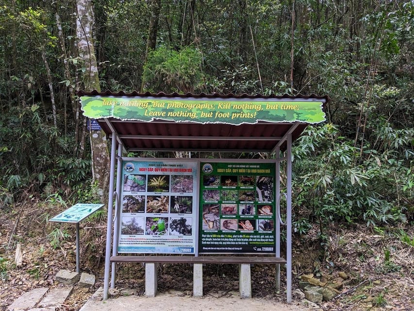 Bach Ma National Park Trekking Tour From Hue/Da Nang/Hoi An - Group Size, Pace, and Physical Demands