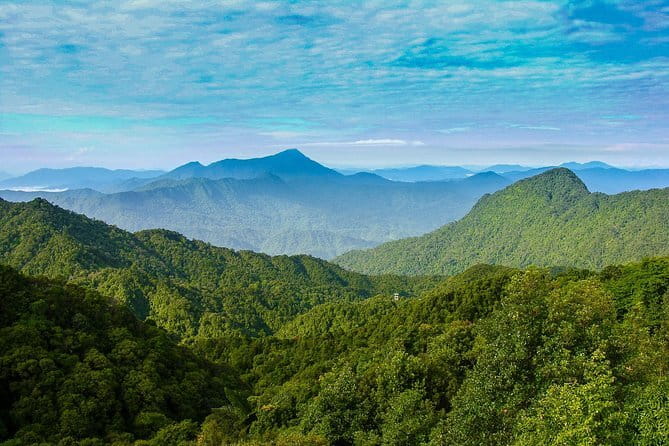 Bach Ma Trekking Tour from Da Nang/ Hue - Five hours on forest trails
