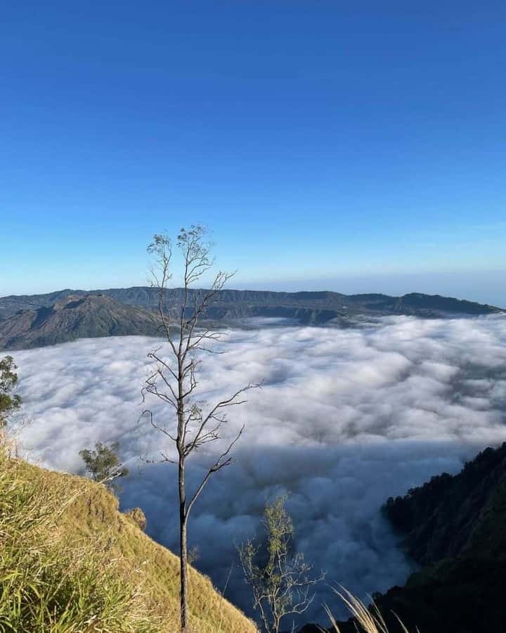 Bali: Caldera Sunrise Trek and Natural Hot Spring - Coffee, cocoa, and the optional plantation stop