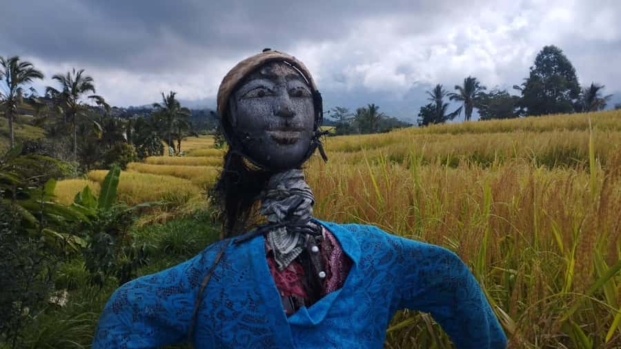 Bali: Jatiluwih Full-Day E-Bike and Trekking Tour - Key points at a glance