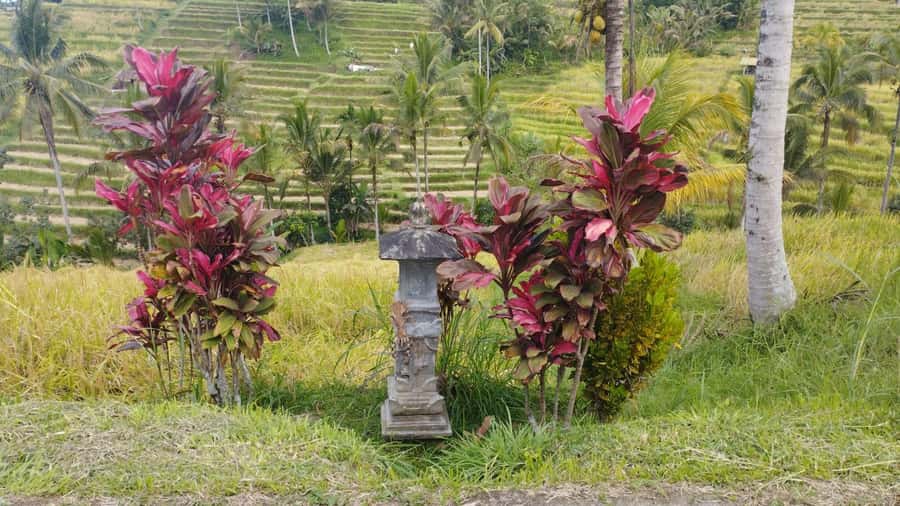 Bali: Jatiluwih Full-Day E-Bike and Trekking Tour - The two-hour ride through Bali’s interior