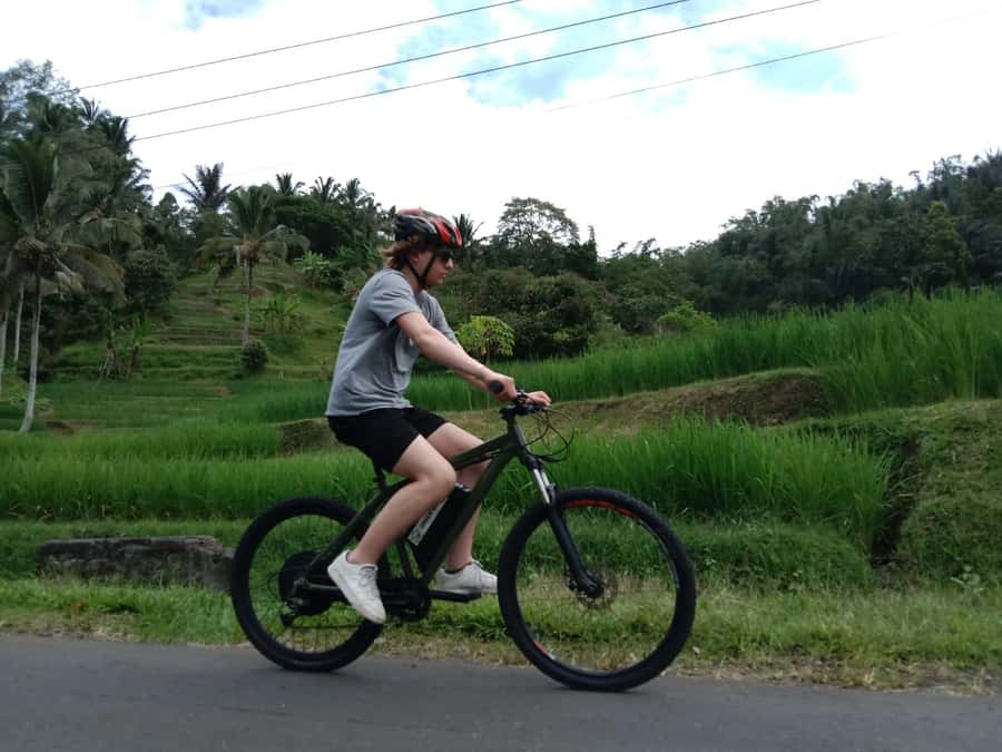 Bali: Jatiluwih Full-Day E-Bike and Trekking Tour - Lunch among the Jatiluwih terraces