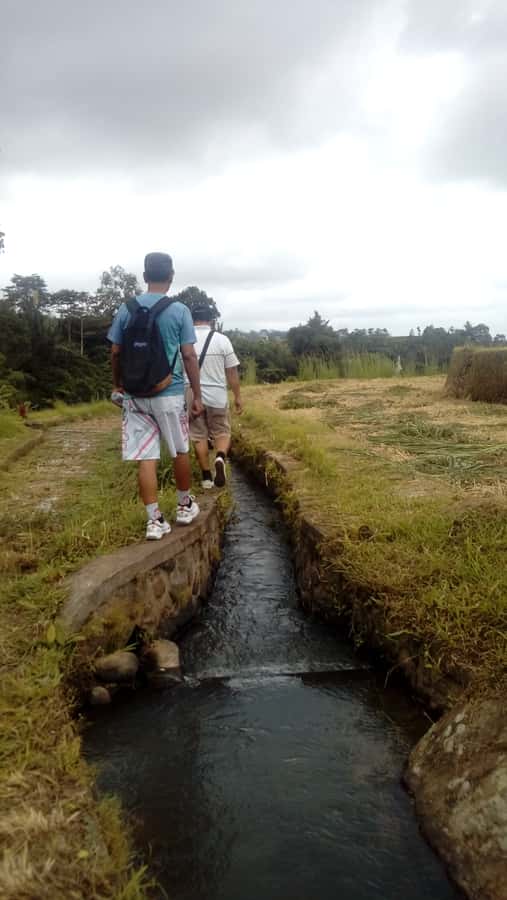 Bali: Jatiluwih Full-Day E-Bike and Trekking Tour - Ending at a rural Balinese compound