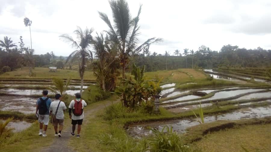 Bali: Jatiluwih Full-Day E-Bike and Trekking Tour - How much value do you get for $99?