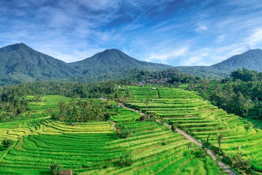 Bali: Jatiluwih Full-Day E-Bike and Trekking Tour - Starting at Pura Luhur Batukaru