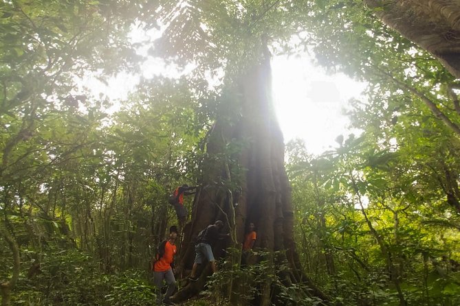 Bali Jungle Trekking and Lake Canoeing Tour - Banyumala Twin Waterfalls as the final reward