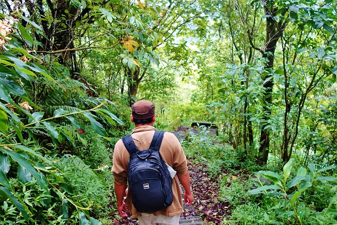 Bali Jungle Trekking in Beautiful Rainforest - What the $80 price really covers