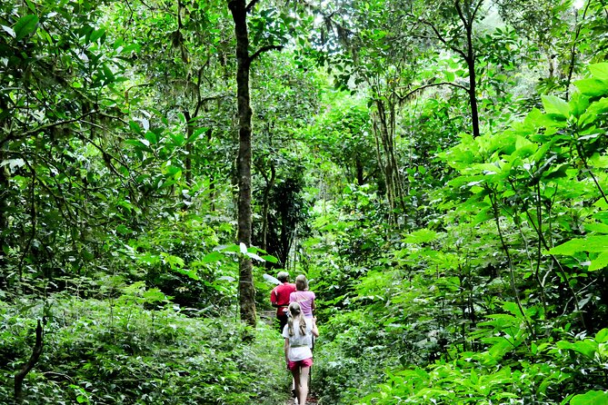 Bali Jungle Trekking in Beautiful Rainforest - Buyan Lake, Bali’s second highland lake