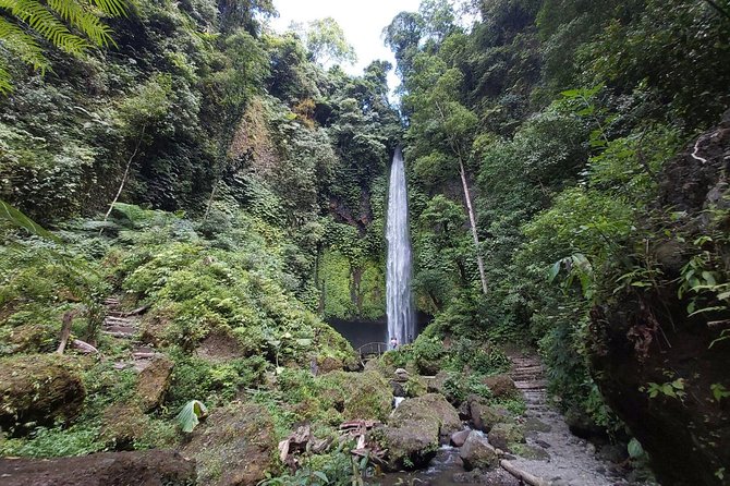 Bali Most Scenic Waterfalls Trekking - A private group makes the walking easier