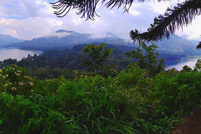 Bali Most Scenic Waterfalls Trekking - Lunch and transport add real value at $35