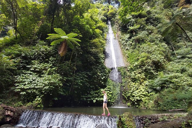 Bali Most Scenic Waterfalls Trekking - Timing and communication deserve attention