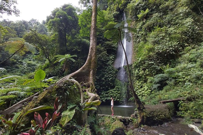 Bali Most Scenic Waterfalls Trekking - Who will enjoy this North Bali trek