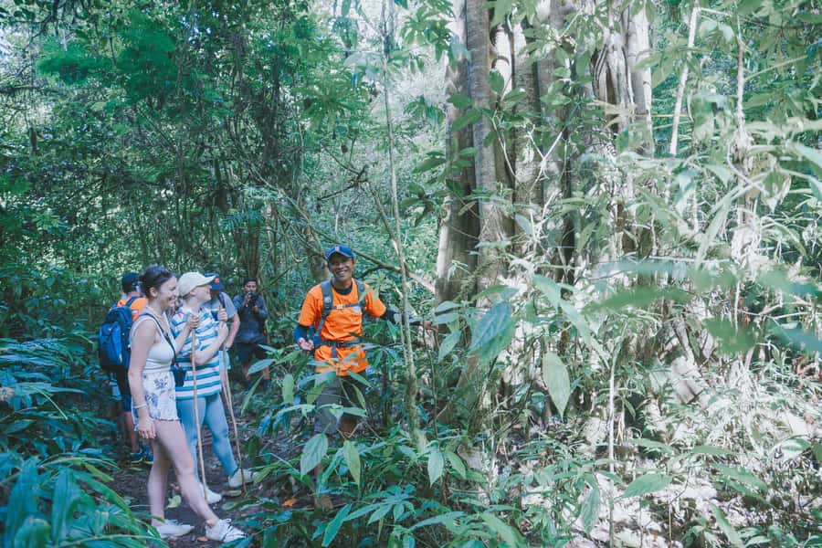Bali: Munduk Waterfalls Trek, Twin Lakes and Temple Tour - Transport, timing, and the small details that matter