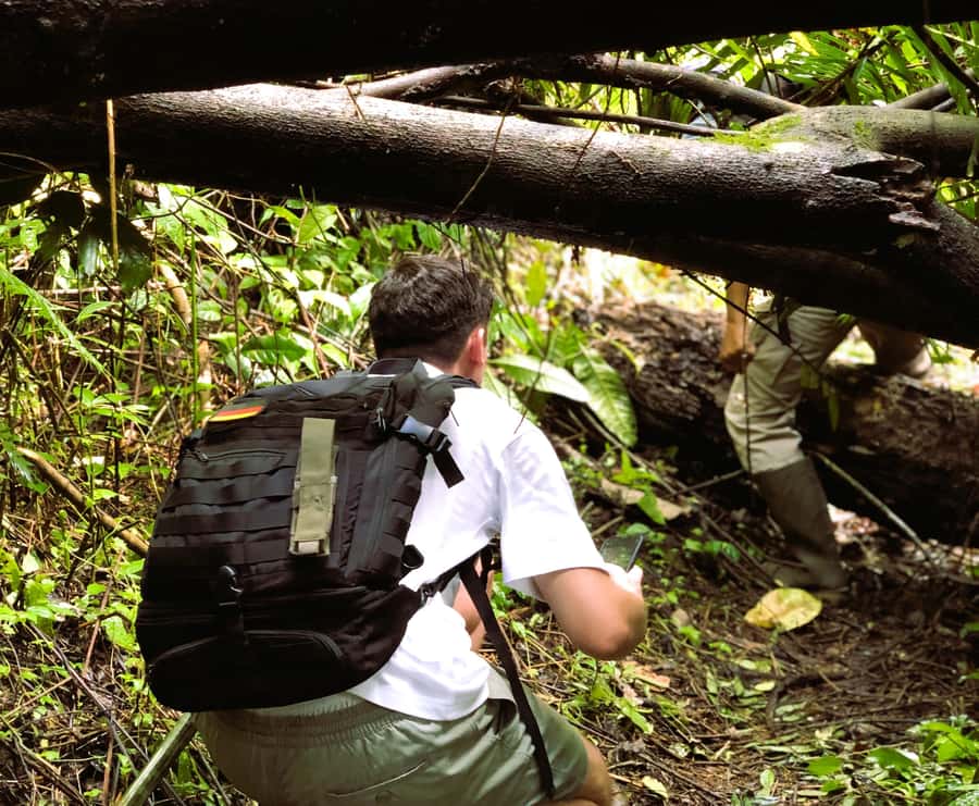 Bali’s Mystical Jungle Trek & Hidden Waterfall Adventure - The first trail through bamboo and rainforest