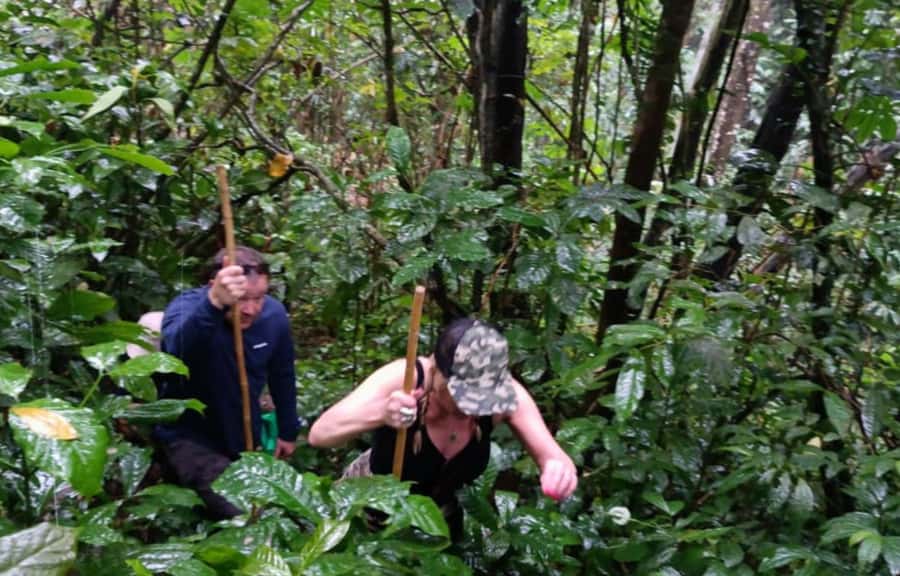 Bali’s Mystical Jungle Trek & Hidden Waterfall Adventure - Lunch at Balikaru and a useful reset