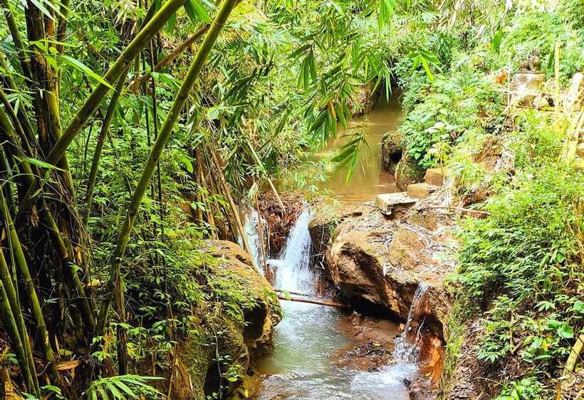 Bali’s Mystical Jungle Trek & Hidden Waterfall Adventure - The final water stops