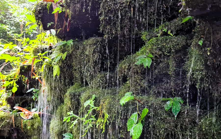 Bali’s Mystical Jungle Trek & Hidden Waterfall Adventure - What the $86 price really covers