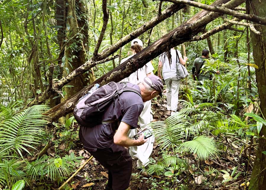 Bali’s Mystical Jungle Trek & Hidden Waterfall Adventure - Who should book this adventure
