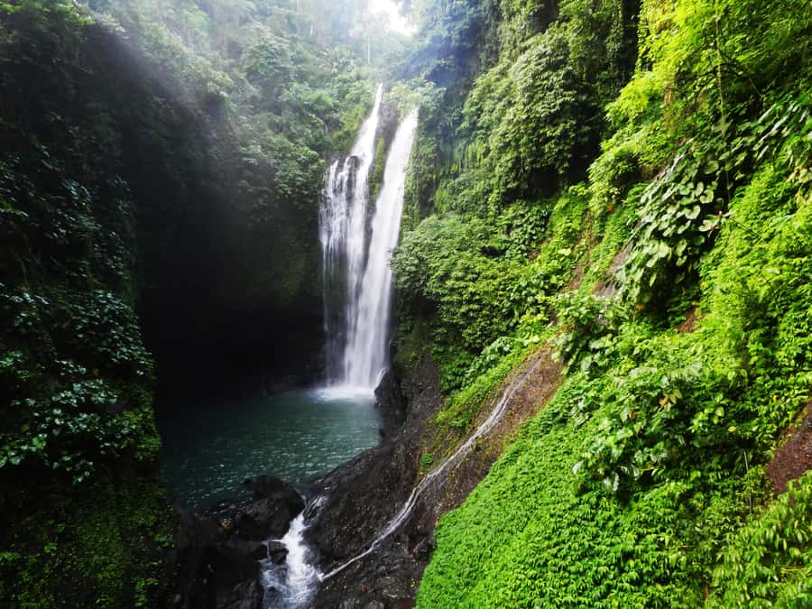 Bali: Sambangan Waterfalls Trekking, Sliding, & Jumping Trip - Key points to know before booking