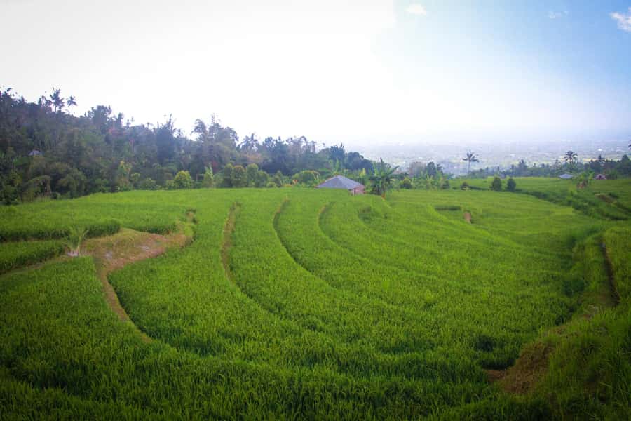 Bali: Sambangan Waterfalls Trekking, Sliding, & Jumping Trip - Why Sambangan is more than a waterfall stop