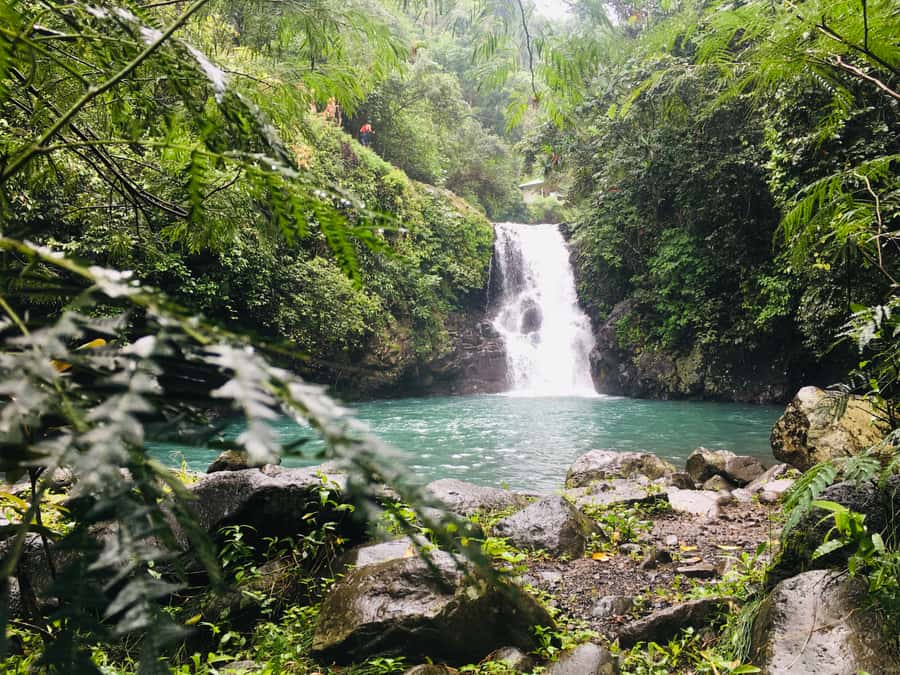 Bali: Sambangan Waterfalls Trekking, Sliding, & Jumping Trip - Aling-Aling Waterfall and the first choices