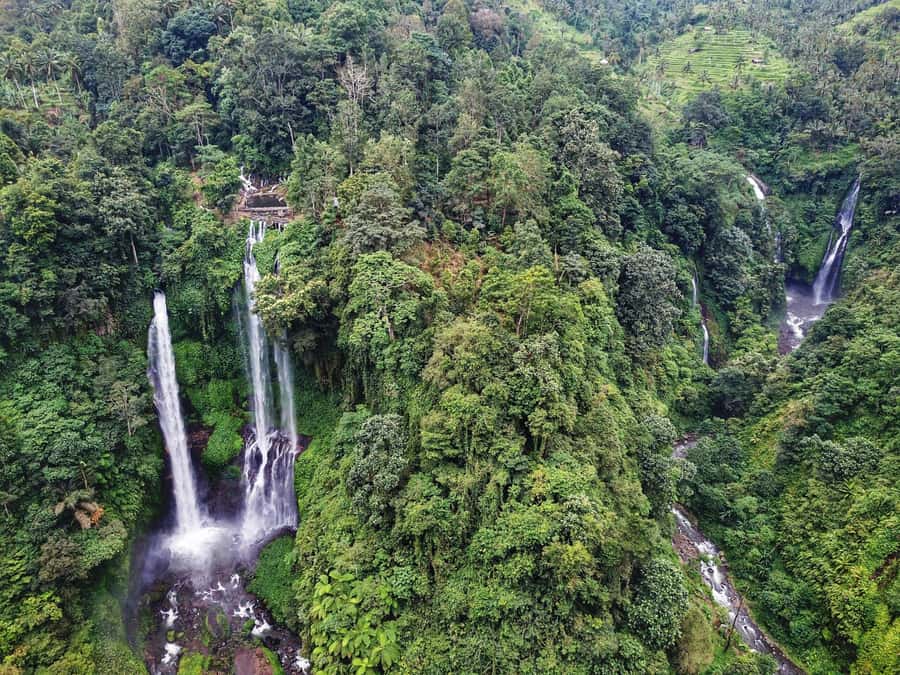 Bali: Sekumpul and Banyumala Waterfall Guided Trek - Why Sekumpul is worth the work
