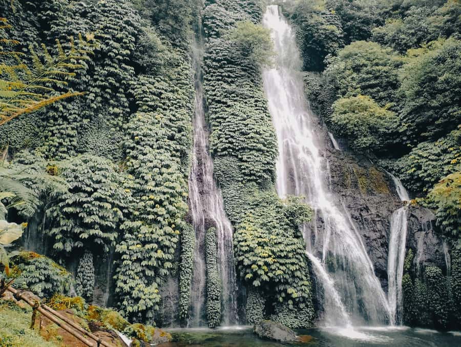 Bali: Sekumpul and Banyumala Waterfall Guided Trek - The rice-field walk through Sekumpul village