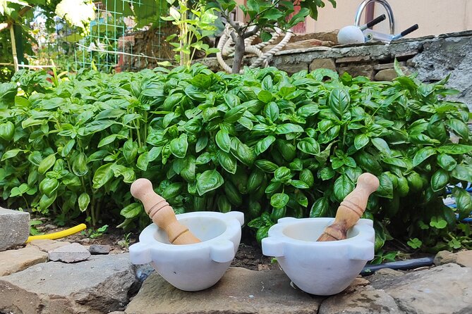 BarCa Winery Cinqueterre Trekking & Wine Tasting & Pesto Class - Who will enjoy BarCa Winery most?