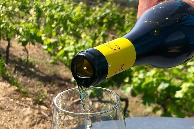 BarCa Winery Cinqueterre Trekking & Wine Tasting & Pesto Class - From Volastra cellar to the Manarola vineyard path