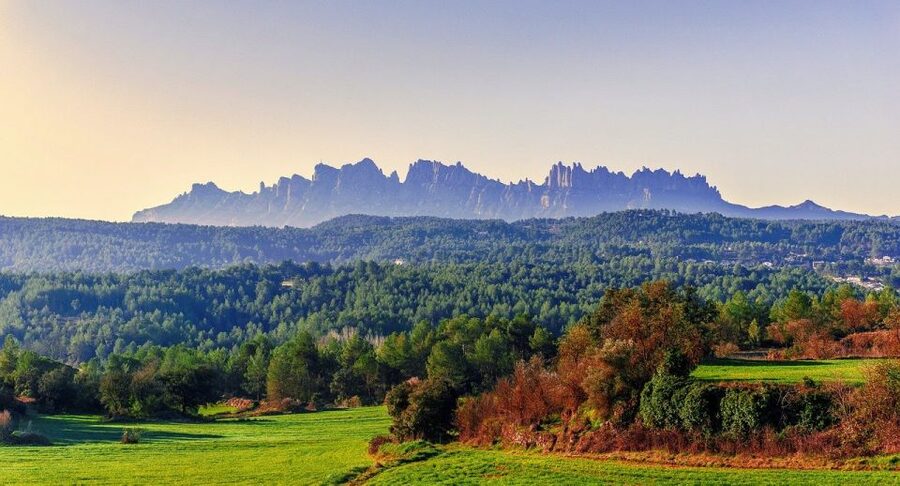 Barcelona: Montserrat Monastery & Hiking Off the Beaten Path - The basic shape of the day