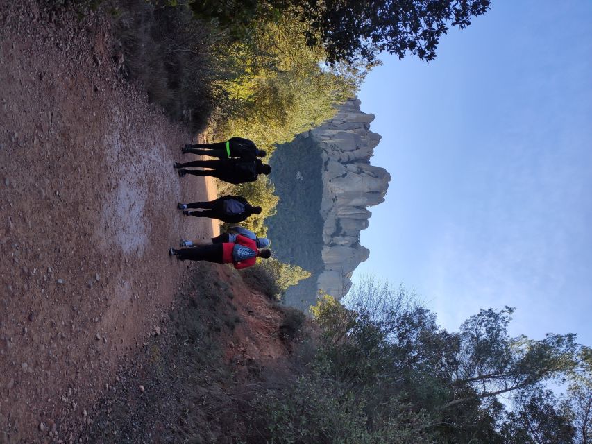 Barcelona: Montserrat Monastery & Hiking Off the Beaten Path - The descent through forest and rock
