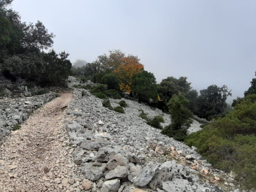 Baunei: Cala Goloritzè Trekking Tour with A Guide - What to pack for the trail