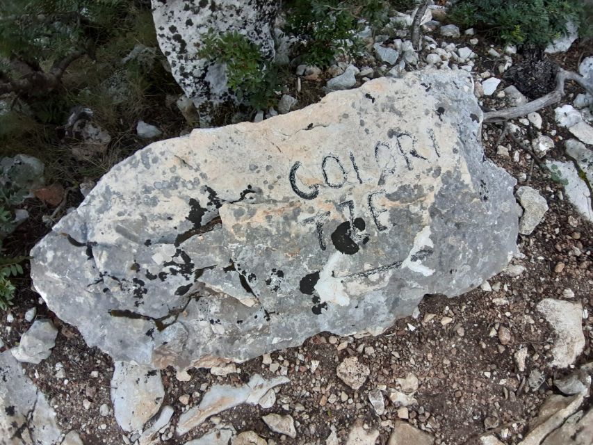 Baunei: Cala Goloritzè Trekking Tour with A Guide - What makes a guided walk better than going alone