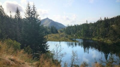 Bergen: Guided mountain hike on top of Bergen