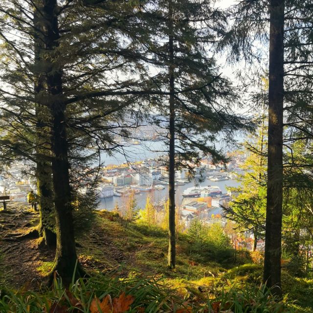 Bergen: Guided mountain hike on top of Bergen - Is $194 good value?