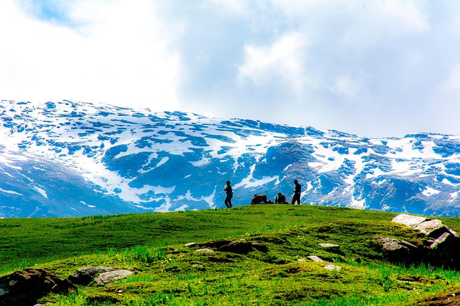 Bhrigu Lake and Alpine Meadow Trek - Day 3: Returning through the meadows to Gulaba